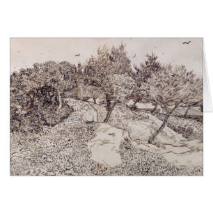Vincent van Gogh Les Oliviers