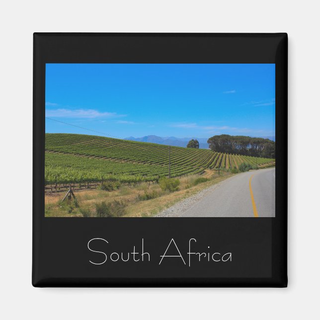 Vineyard Landscape South Africa SA Magnet (Devant)
