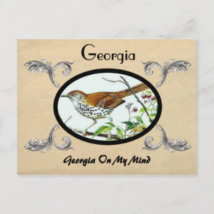 Vintage apparence Ancienne carte postale Géorgie É
