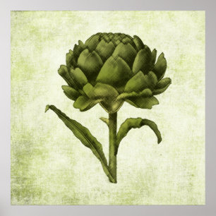 Vintage Artichoke Poster