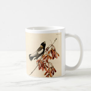 Vintage Audubon Bobolink Peinture Gift Café Mug