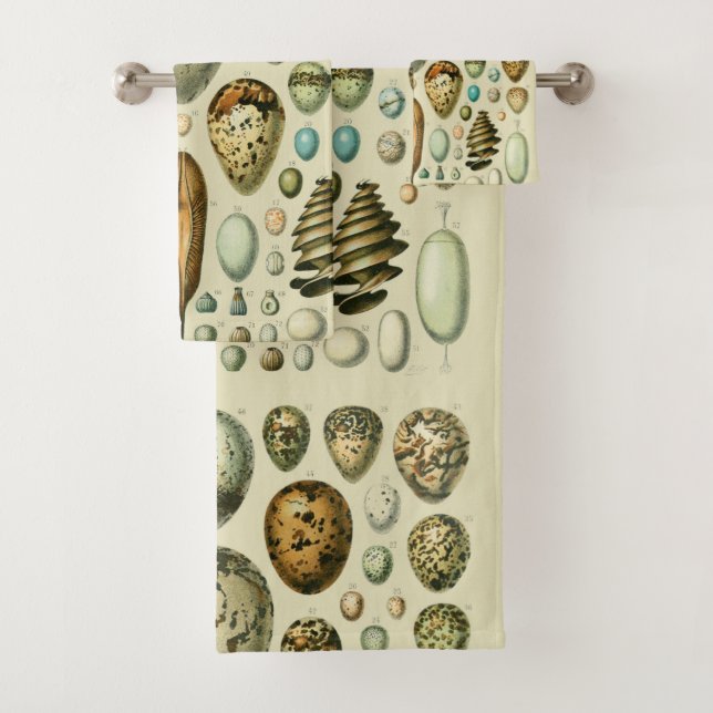 Vintage Bird Eggs French Fish Egg (En situation)