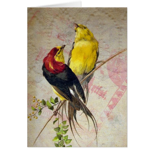 Vintage Birds Lace Texture Toutes les Occasions (Devant)