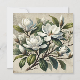 Vintage blanc Magnolia Botanique