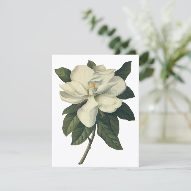 Vintage blanc Magnolia Fleurs de fleurs Invitation (Debout devant)