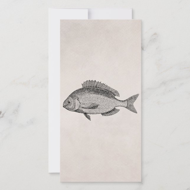 Vintage Brème de Mer Poisson Rétro Parchémin Poiss (Devant)