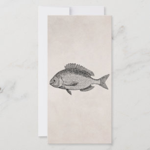 Vintage Brème de Mer Poisson Rétro Parchémin Poiss