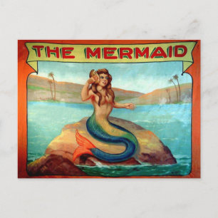 Vintage Carte postale du spectacle Mermaid Circus