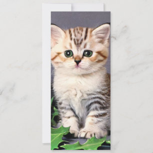 Vintage Christmas Kitten et Holly Card