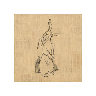 Vintage Cute Bunny Rabbit Art Script Arrière - pla