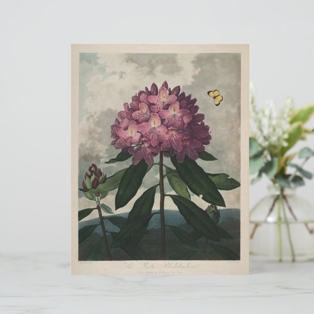 Vintage Dark Academia Botanical Print (Debout devant)