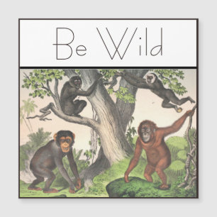 Vintage de singe inspiré