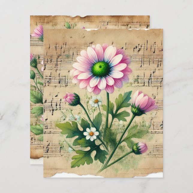 Vintage feuille musique rose et vert marguerites s (Devant / Derrière)