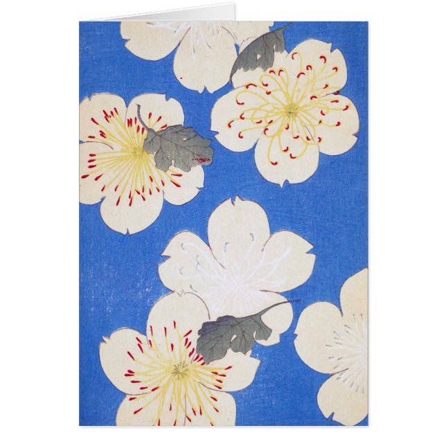 Vintage floral (Devant)