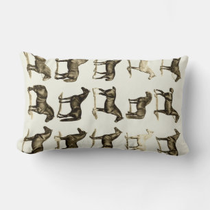 Vintage Horse Breeds Graphique imprimer coussins c