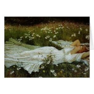 Vintage - Jardin dans un champ de marguerites,