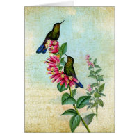 Vintage Kolibris, Gute Besserung