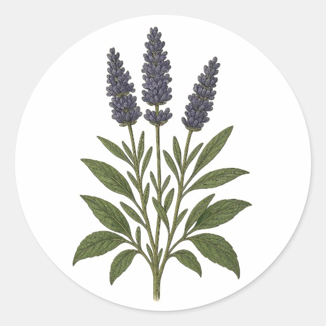 Vintage Lavender Sticker - round (Devant)