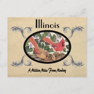 Vintage Look Ancienne carte postale Illinois État