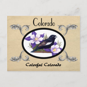 Vintage Look Vieux Carte Postale Colorado