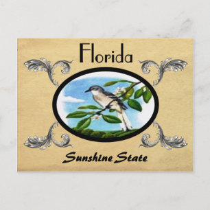 Vintage Look Vieux carte postale Florida État