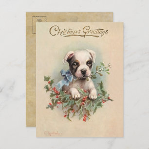 Vintage Noël Chiot Chiot Voeux Carte postale