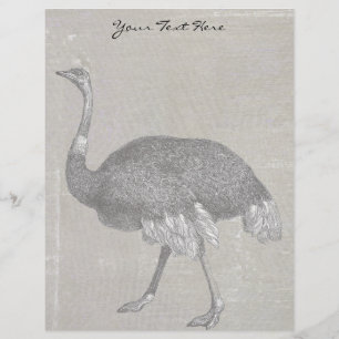 Vintage Ostrich