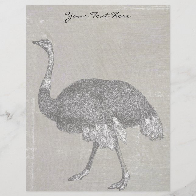 Vintage Ostrich (Devant)