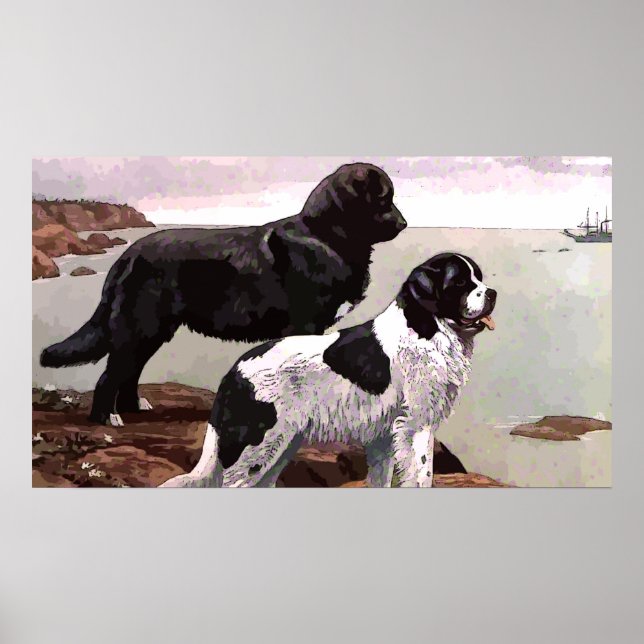 Vintage Painted Newfoundlands Poster (Devant)