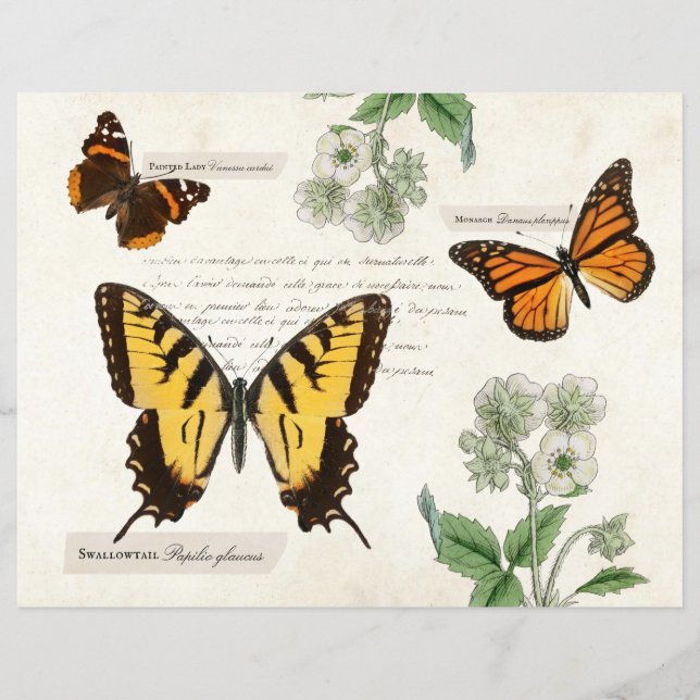 Vintage papillon Swallowtail Monarch dame peinte (Devant)