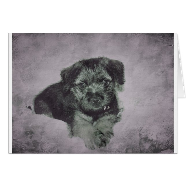 Vintage puppy (Devant horizontal)