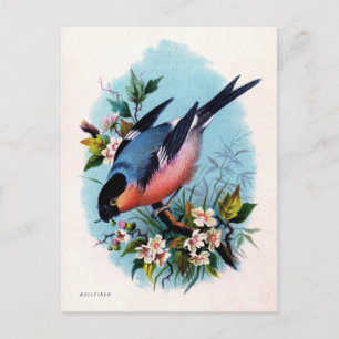 Vintage Retro Bird sur carte postale