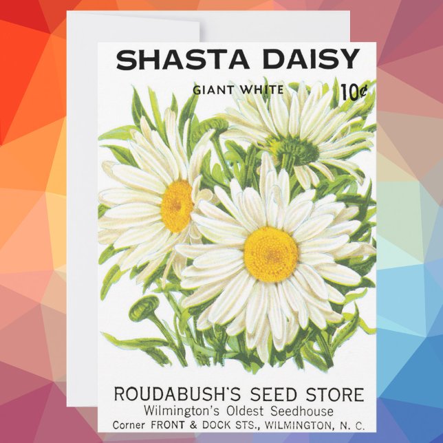 Vintage Seed Packet Art, Shasta Daisy Flowers (Créateur téléchargé)