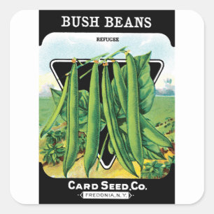 Vintage Seed Packet Étiquette Art, Bush Bean Légum
