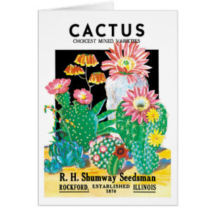 Vintage Seed Packet Étiquette Art Desert Cactus Pl