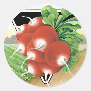 Vintage Seed Packet Étiquette Art, Radis Scarlet