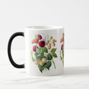 Vintage tasse à café aux fraises