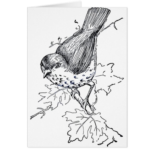 Vintage Thrush Black and White (Devant)