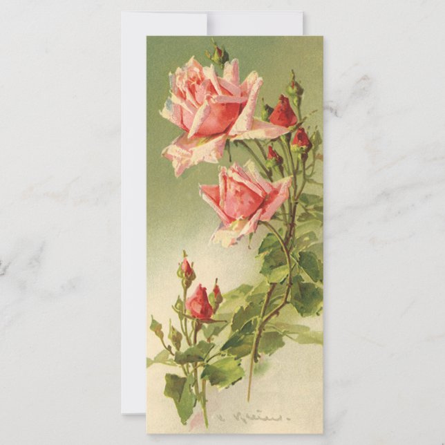 Vintage Valentine's Day Pink Victorian Garden Rose (Devant)