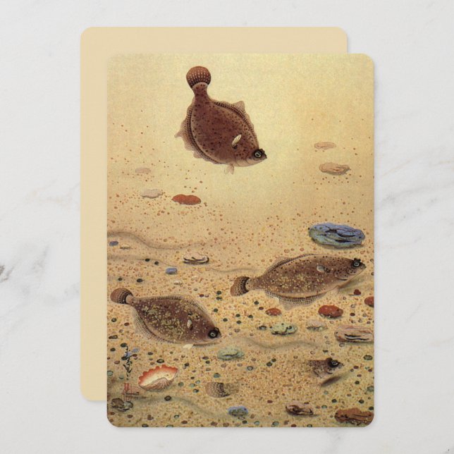 Vintages Flancs Plat Fish Fishing Invitation (Devant / Derrière)