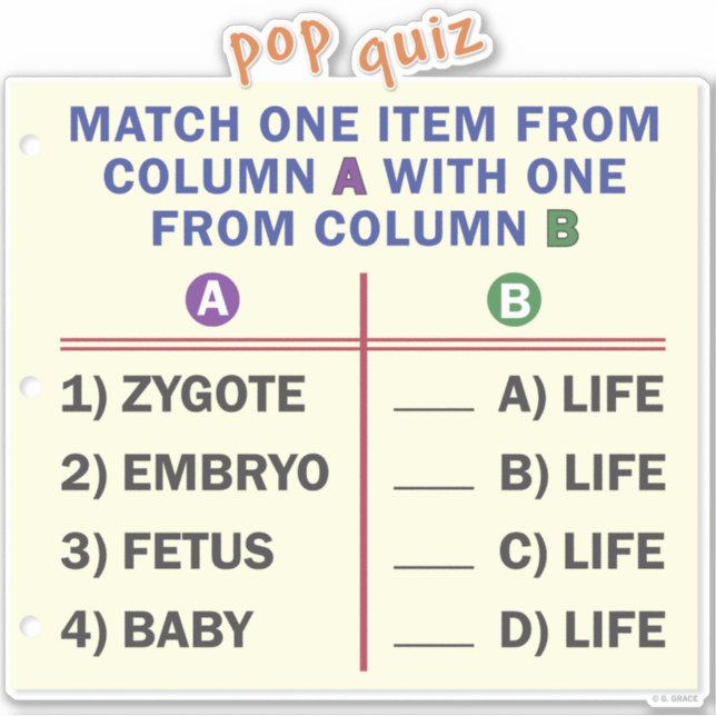 Vinyl sticker with a quiz. (Devant)