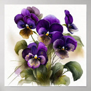 Violas violet Fleur Art Imprimer Poster