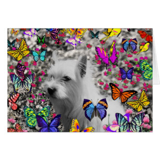 Violet aux papillons - Chien blanc Westin