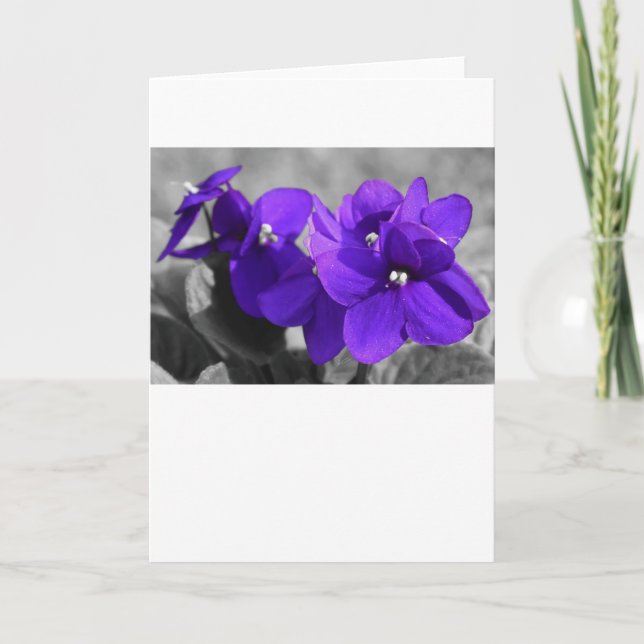Violet, carte (Devant)