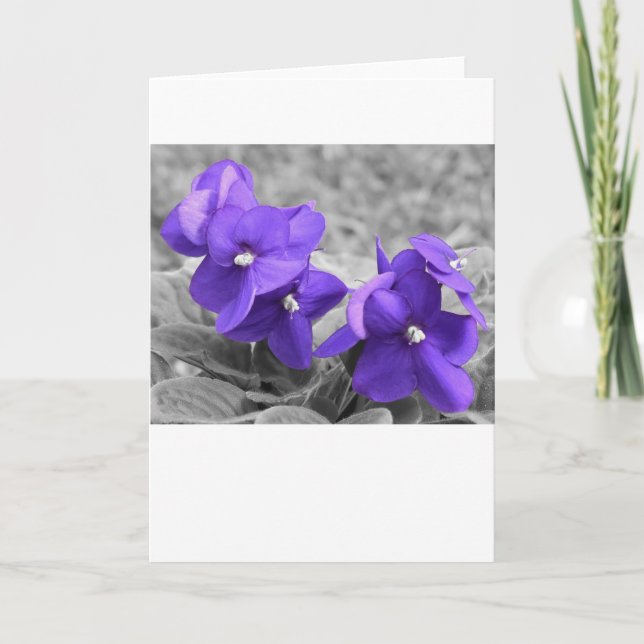 Violet, carte (Devant)