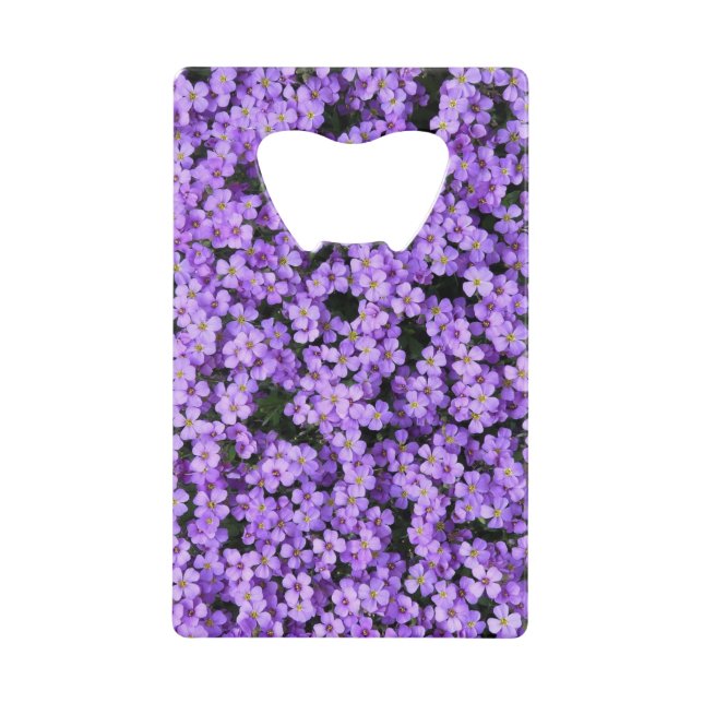 Violet Fleurs Bouteille Ouverture Violets (Devant)