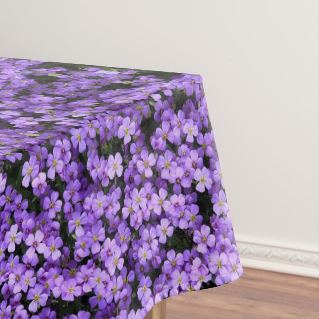 Violet Fleurs Nappes Violets (In Situ)