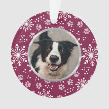Violet Flocon de neige Paw Motif animal photo