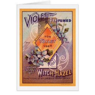Violet parfumé - 1903