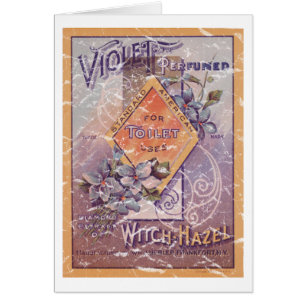 Violet Parfumé - 1903- en détresse